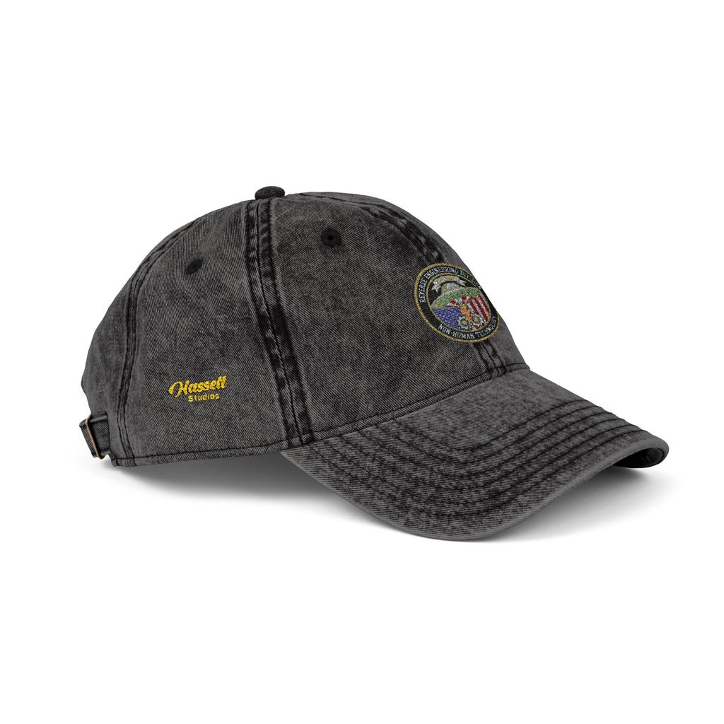 UFO Reverse Engineering Division Vintage Cap (Embroidered)