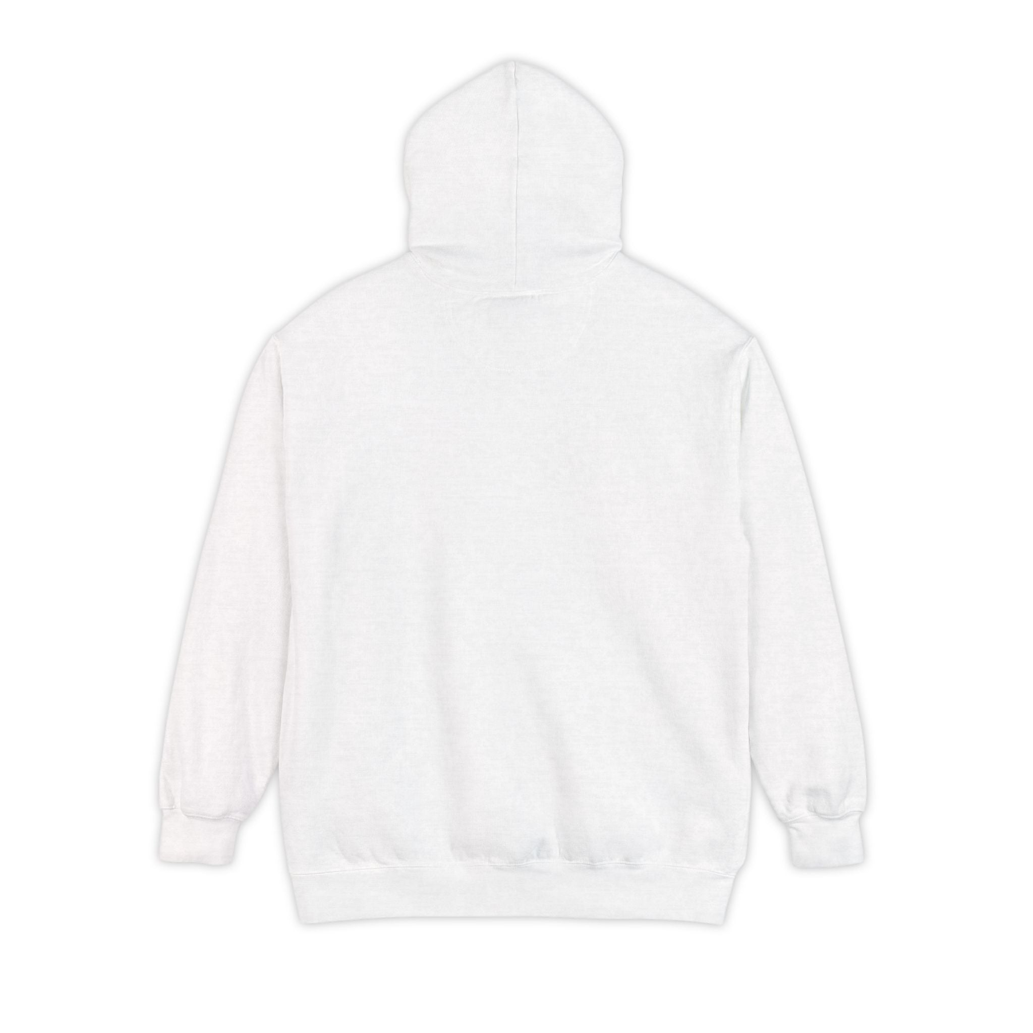 JFK - CIA Hoodie